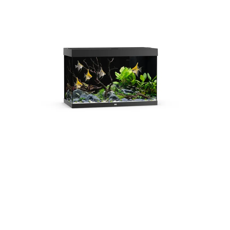 JUWEL Rio 290 LED schwarz Aquarium Versand Am Gleichen Tag